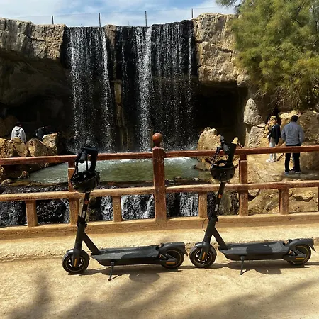 Tropical Loft Alicante